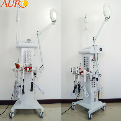 살론 진공 스프레이 다중기능 얼굴 기계 110V 220V 확대 램프