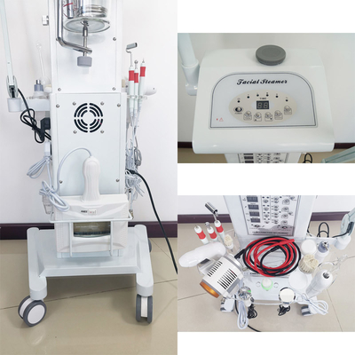 살론 진공 스프레이 다중기능 얼굴 기계 110V 220V 확대 램프